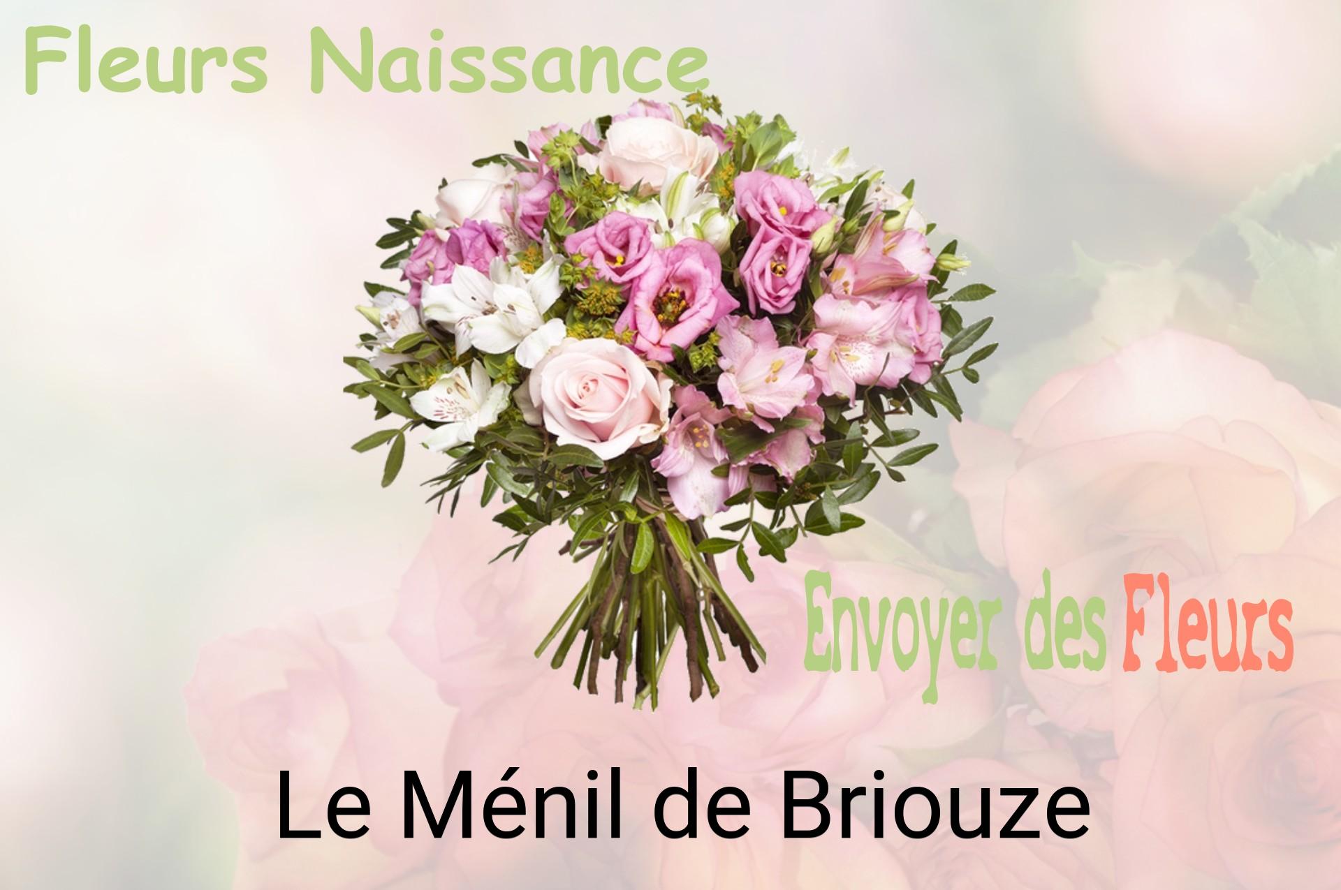Bouquet de fleurs de naissance livré à Le Ménil-de-Briouze